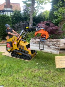 Using a vermeer skid steer to remove heavy sections of large, long standing dead Elm