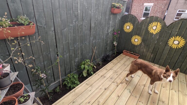 Flower bed install on decking, tynemouth