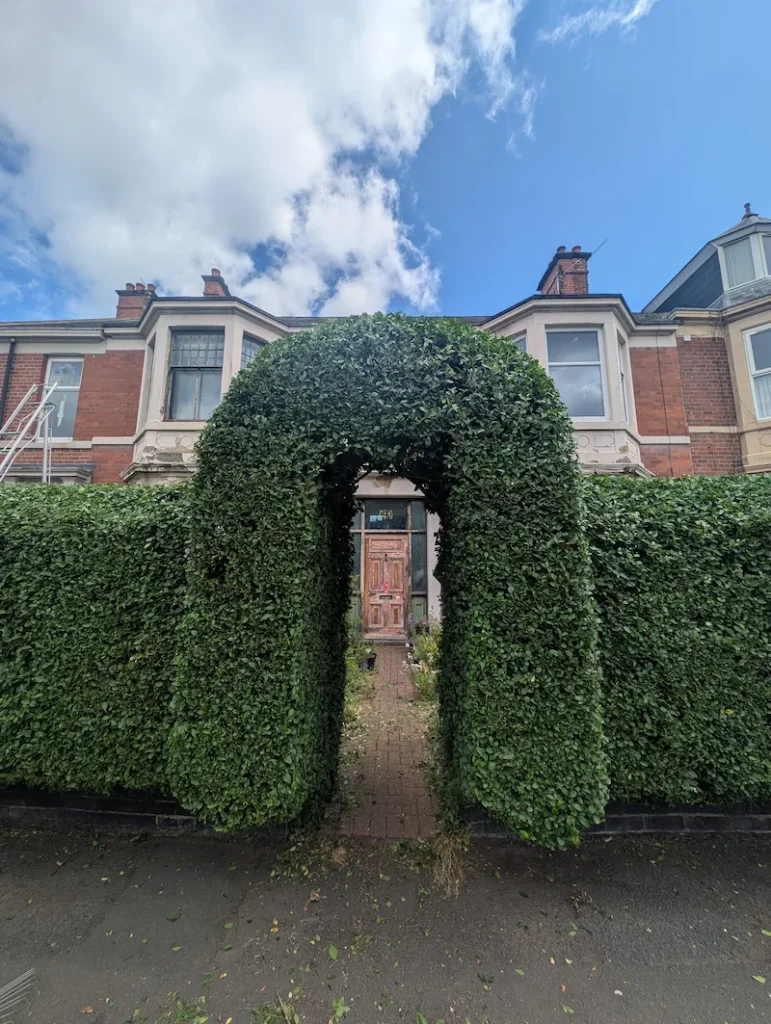 Professionally shaped formal hedge with an arched entrance maintained by Red Fox Tree Care.