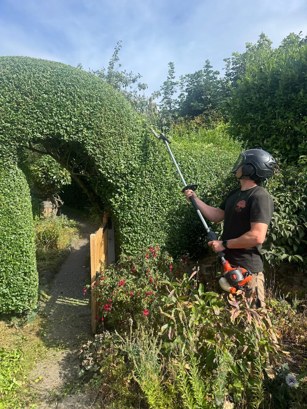 Red Fox Tree Care carrying out professional hedge trimming and hedge maintenance in Morpeth