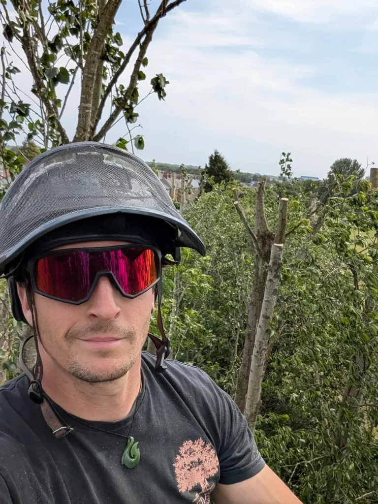 Red Fox arborist carrying out professional tree pruning in Newcastle