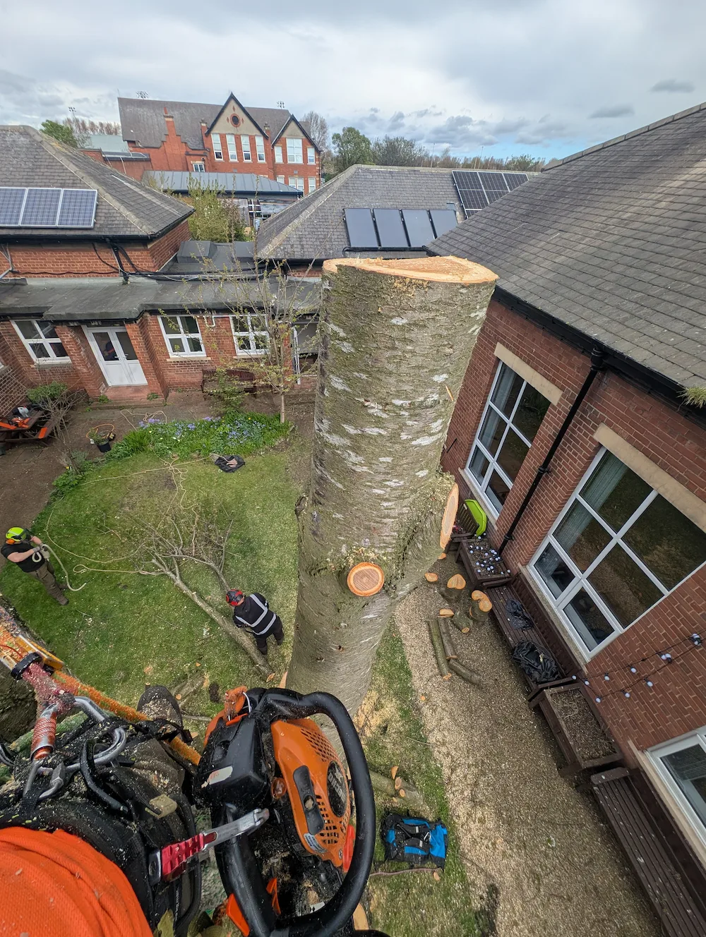 Sectional tree removal at the Linskill Centre in North Shields by Red Fox Tree Care